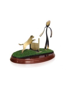 (272) TROFEO SOLDART AGILITY 20 cm