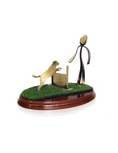 (272) TROFEO SOLDART AGILITY 20 cm