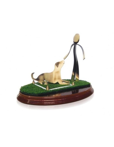 (272) TROFEO SOLDART AGILITY 20 cm