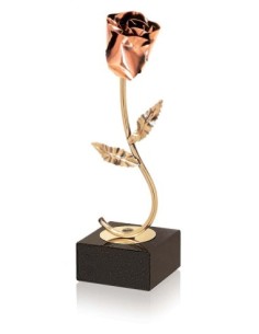 (278) TROFEO SOLDART ROSA 23 cm