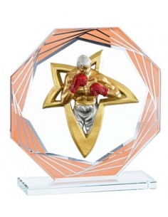 (210) TROFEO CRISTAL BRONCE CON APLIQUE RESINA 17 cm