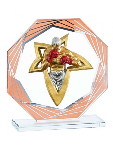 (210) TROFEO CRISTAL BRONCE CON APLIQUE RESINA 17 cm