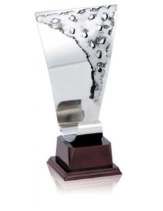 (294) TROFEO SOLDART ALEGORICO 24 cm