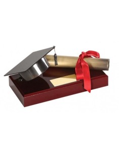 (301) TROFEO SOLDART LITERATURA 12 cm