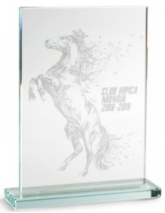 TROFEO CRISTAL 21*14