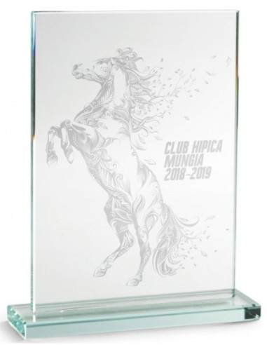 TROFEO CRISTAL 21*14