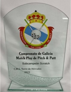 TROFEO CRISTAL GRABABLE EN COLOR 22X 15 cm.