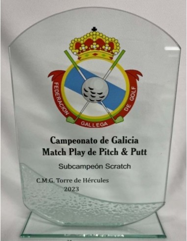 TROFEO CRISTAL GRABABLE EN COLOR 22X 15 cm.