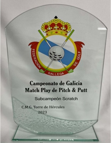 TROFEO CRISTAL GRABABLE EN COLOR 22X 15 cm.