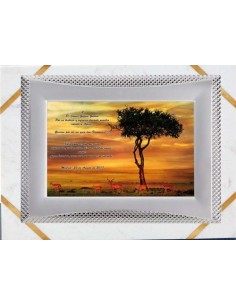 (132) PLACA HOMENAJE CON SOPORTE MARMOL 24 x 19 cm