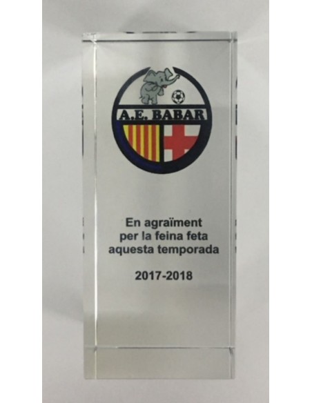TROFEO CRISTAL OPTICO GARBADO A COLOR