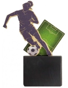 FUTBOL TROFEO 16 cm.