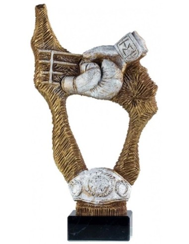 BOXEO TROFEO 30 cm.