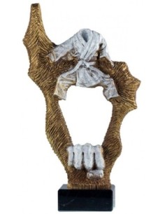 KARATE TROFEO 30 cm.