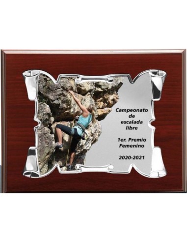 (137) PLACA HOMENAJE CON MADERA ECONOMICA 21 x 17 cm