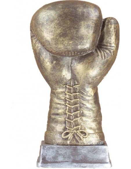 BOXEO TROFEO 24 cm.