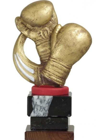 BOXEO TROFEO 21 cm.