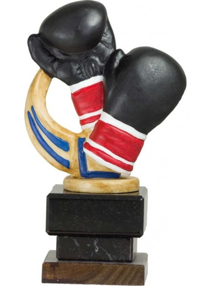 BOXEO TROFEO 21 cm.