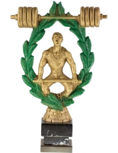 HALTEROFILIA TROFEO 34 cm.