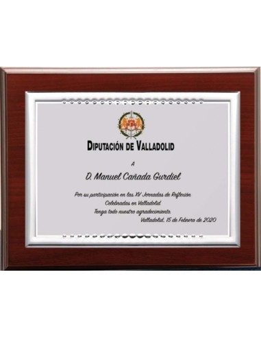 (139) PLACA HOMENAJE CON MADERA ECONOMICA 21 x 17 cm