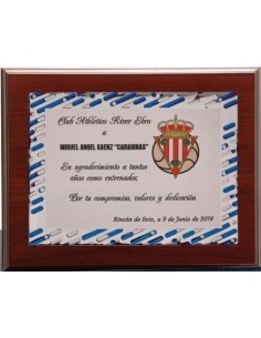 (139) PLACA HOMENAJE CON MADERA ECONOMICA 21 x 17 cm