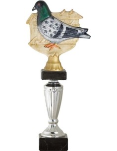 PALOMA TROFEO 34 cm.