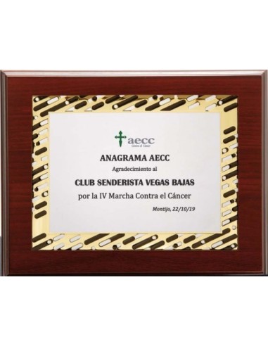 (142) PLACA HOMENAJE CON MADERA ECONOMICA 21 x 17 cm
