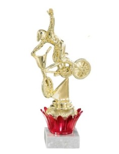 (221) TROFEO ABS PORTA SERIE D 21 cm