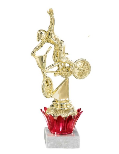 (221) TROFEO ABS PORTA SERIE D 21 cm