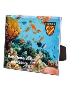 (149) CERAMICA ESP. SUBLIMACIÓN CON CORBATA DM DE APOYO 20 x 17 cm