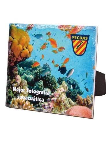 (149) CERAMICA ESP. SUBLIMACIÓN CON CORBATA DM DE APOYO 20 x 17 cm