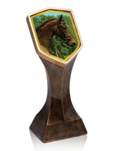 (255) TROFEO RESINA ALEGORIA DEPORTES 18 cm