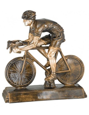 (200) RESINA CICLISMO DE CARRETERA 37 x 34 cm