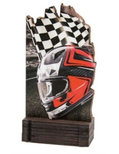 (243) TROFEO MADERA MOTOR 13 cm