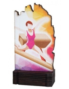 (244) TROFEO MADERA GIMNASIA ARTISTICA 13 cm