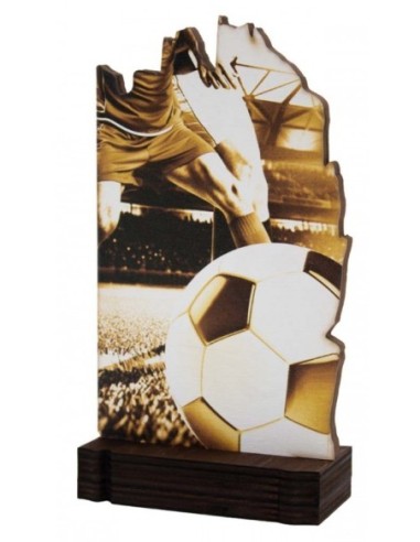 (246) TROFEO MADERA FUTBOL 19 cm