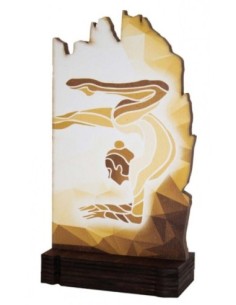 (246) TROFEO MADERA GIMNASIA RITMICA 19 cm