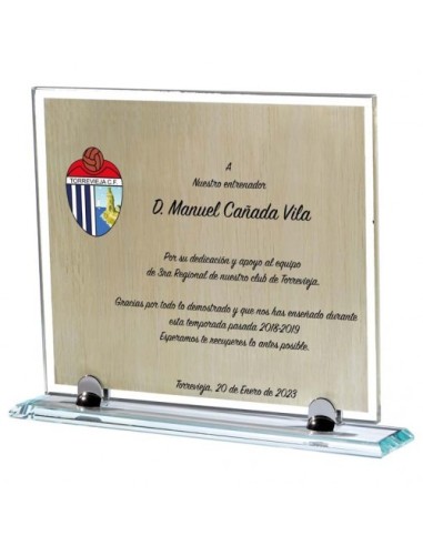 (126) PLACA HOMENAJE CRISTAL 27 X 23 cm