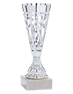 (32) COPA ABS PLATA 24 cm