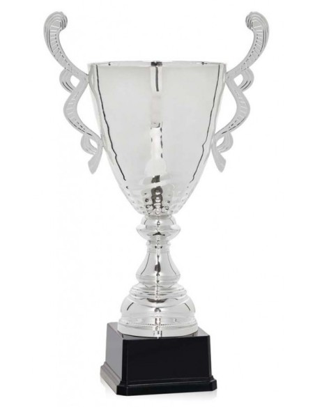 (33) COPA LINEA PROMOCION 30 cm