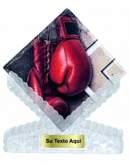 (203) T. CERAMICA BOXEO 25 cm