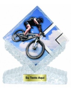 (203) T. CERAMICA MOUNTAIN BIKE 25 cm