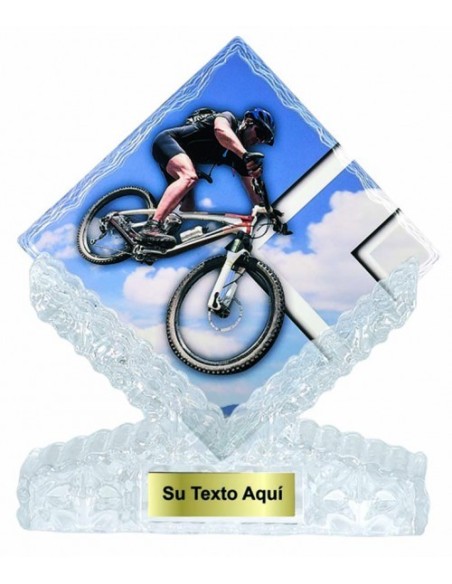(203) T. CERAMICA MOUNTAIN BIKE 25 cm