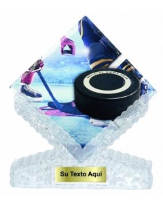 (203) T. CERAMICA HOCKEY HIELO 25 cm