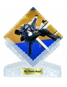 (203) T. CERAMICA JUDO 25 cm