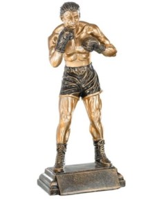 (196) RESINA BOXEO 29 cm