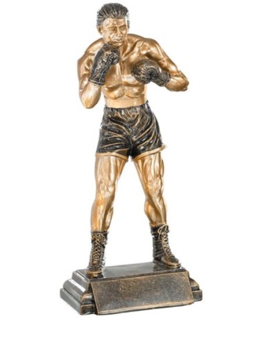 (196) RESINA BOXEO 29 cm