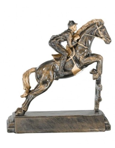 (196) RESINA ARTES MARCIALES 27 cm