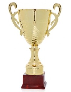 (58) COPA 27 cm