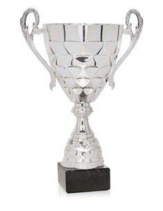 (58) COPA 24 cm